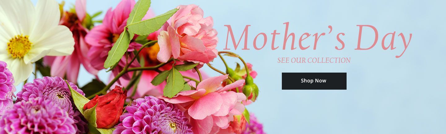 Mother's Day banner for American Floral in Irmo SC 29063